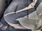 2022 Chevrolet Colorado 2WD LT