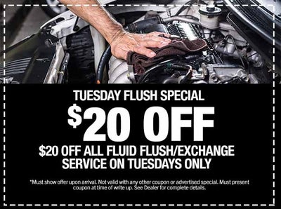 Tuesday Flush Special